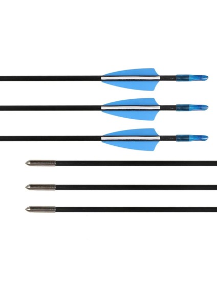 12 Adet Tarzı Okçuluk Fiberglas Ok Avcılık Olimpik Yay Için Hedef Oklar Sabit Oklar Ipuçları ile Geleneksel Uzun Yay (Yurt Dışından) fırsatları