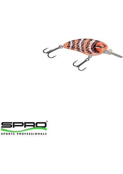 Lj John 50 Md Mılk Snake 5 Pcs