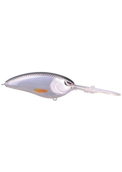 Lj Baby Dd 60 Spooky Roach fiyatları