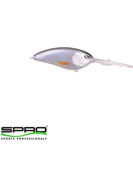 Lj Baby Dd 60 Spooky Roach indirimleri