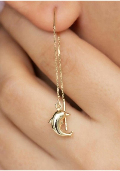 Altın Dolphin Salantili Kupe