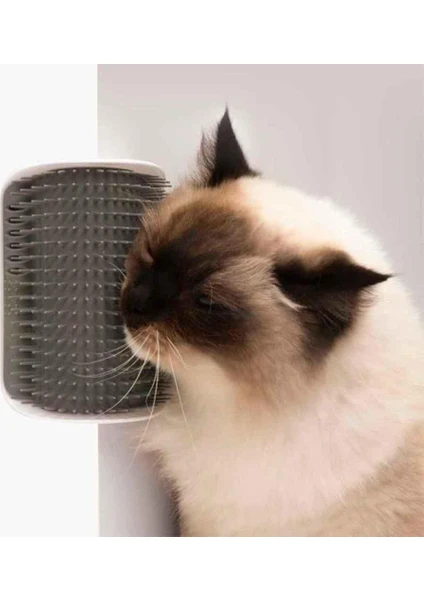 Cat İt Senses Self Groomer Kedi Kaşınma Aparatı