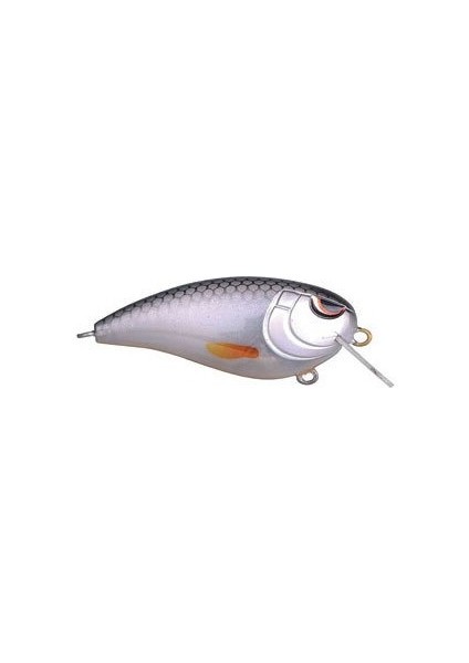 Baby Fat John 50 Spooky Roach 5 Pcs