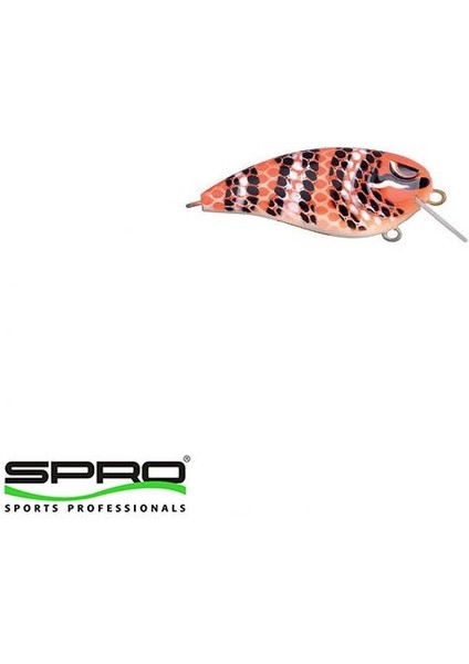 Baby Fat John 50 Milk Snake Maket Yem