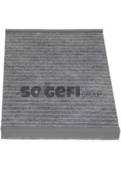 AHC184 Polen Filtresi A4 00-04 A6 97-05 / Exeo Karbonlu
