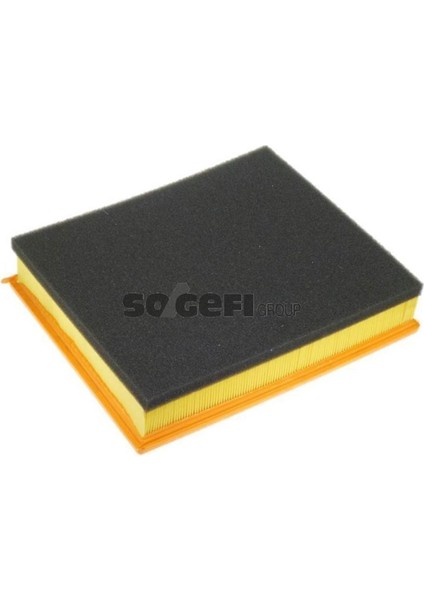 A1010 Hava Filtresi Mascott 01-04