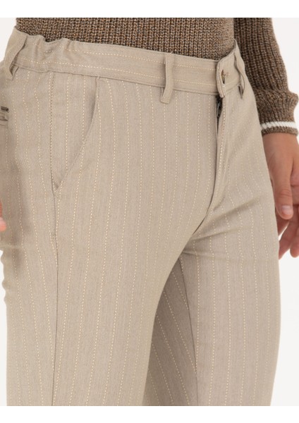 Erkek Vizon Slim Fit Çizgili Kanvas Pantolon 50278471-VR052 indirimleri