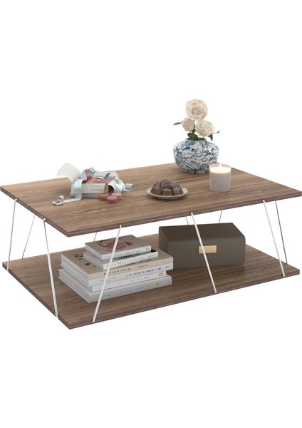 Tessa Modern Orta Sehpa fiyatları