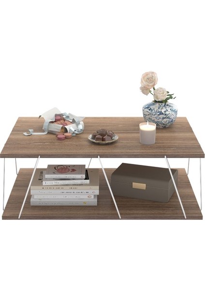 Tessa Modern Orta Sehpa modelleri