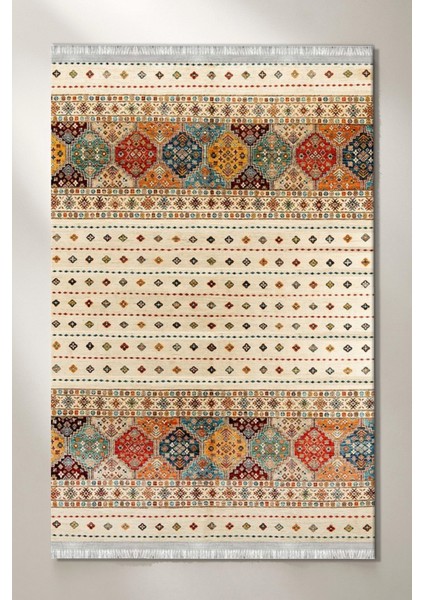 Roslyn Home Etnik Desenli Dekoratif Yıkanabilir Vintage Kilim Kadife Kumaş Dot Taban Leke Tutmaz Hol Halısı