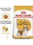 Royal Canin Cavalier King Charles Yetişkin Köpek Maması 1.5 kg 2