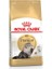 Royal Canin Persian Adult Yetişkin Iran Kedisi Maması 2 kg 1