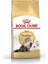 Royal Canin Persian Adult Yetişkin Iran Kedisi Maması 2 kg 2