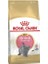 Royal Canin British Shorthair Kitten Yavru Kedi Maması 2 kg 1