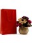 Kırmızı Premium Karton Çanta 17 x 27 x 7 cm 2 Adet Hediye Poşeti 1