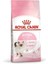 Kitten 36 Yavru Kedi Maması 2kg 1
