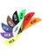 Kırmızı Stil Okçuluk Blazer Fletching Vane Dıy Avcılık ve Çekim Için 2ınch Crossbow Arrow Feather Tpu Feather (Yurt Dışından) 2