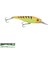 Pike Fighter Suni Yem 4
