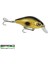 Pc Plus Dopey-Crank 45 Gold Shıner 5