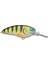 Lj John 50 Md Green Perch 5 Pcs 3