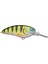 Lj John 50 Md Green Perch 5 Pcs 5