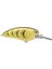 Lj John 50 Md Pıg Pen 5 Pcs 2