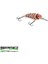Lj John 50 Md Mılk Snake 5 Pcs 1