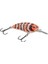 Lj John 50 Md Mılk Snake 5 Pcs 5