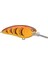 Lj John 50 Md Sprıng Craw 5 Pcs 5