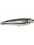 Ikıru Pop115 Chromed Sardıne 2