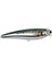 Ikıru Pop115 Chromed Sardıne 3