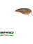 Baby Fat John 50 Watermelon Ob 5 Pcs 1