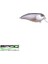 Baby Fat John 50 Spooky Roach 5 Pcs 1