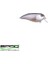 Baby Fat John 50 Spooky Roach 5 Pcs 4