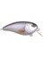 Baby Fat John 50 Spooky Roach 5 Pcs 5