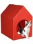 Plastik Kedi Evi, Kedi Kulübesi, Kedi Yuvası 1