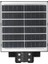 CT-4643 600 W Süpernova Solar Sokak Armatürü 2