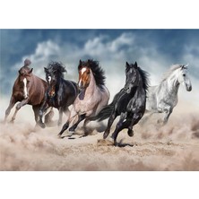 Neverland 1000 Parça Puzzle - Horses (Atlar)