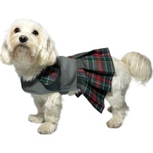 Nobledog Store Gri Kaşe Kaban Köpek Elbisesi