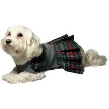 Nobledog Store Gri Kaşe Kaban Köpek Elbisesi
