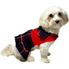 Nobledog Store Kırmızı Kaşe Kaban Köpek Elbisesi