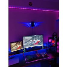 KG Tasarım & Aksesuar Gece Duvar Lambası Baykuş Işıklı 3D