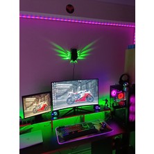 KG Tasarım & Aksesuar Gece Duvar Lambası Baykuş Işıklı 3D