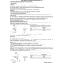 E.C.A 1" Basınç Düşürücü Valf Manometreli Pistonlu 602111042