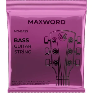 Maxword Gt-Bass Kaliteli Bas Gitar Teli 1 Takım Set