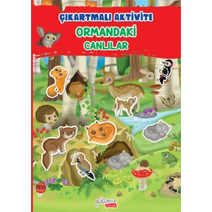 Çıkartmalı Aktivite-Yağmur Ormanları
