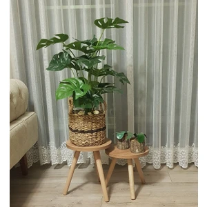 2'li Ahşap Ayaklı Çiçeklik Saksılık Standı Dekoratif Yan Sehpa Seti 24 cm Çap Atlantik Çam