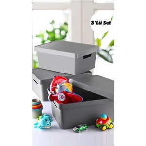 10 Lt Kapaklı Düzenleyici Kutu (3'lü Set)