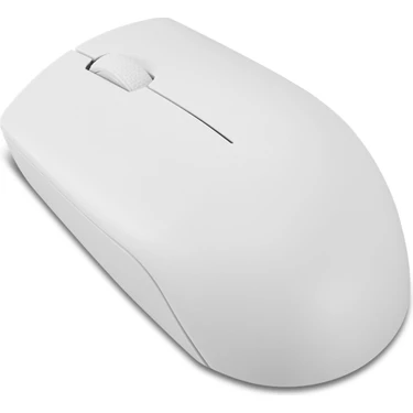 LENOVO Lenovo 300  Gri Kablosuz Mouse Mouse
