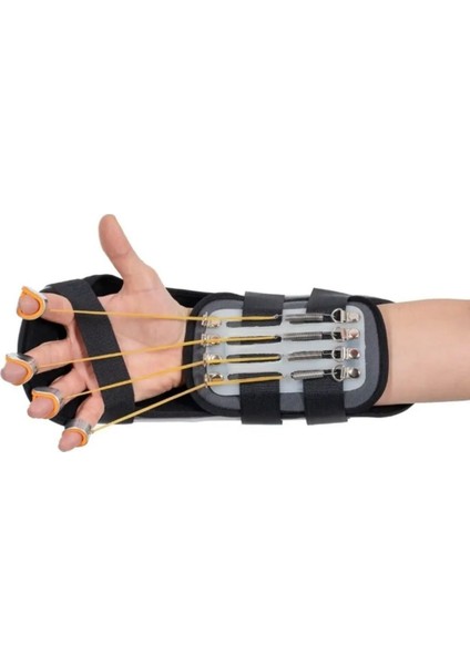 Termoplastik Kleinert Ateli - (S) - Sağ modelleri